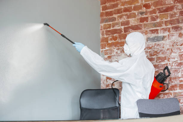 Best Commercial Mold Inspection  in Hayden, ID