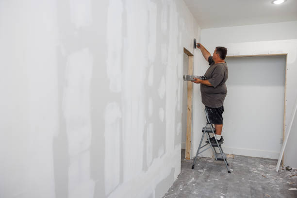 Best Mold Remediation for Healthcare Facilities  in Hayden, ID