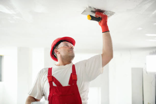 Asbestos and Lead Testing During Mold Inspection in Hayden, ID