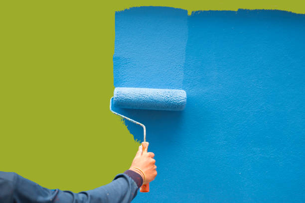 Environmental Consulting for Mold Prevention in Hayden, ID